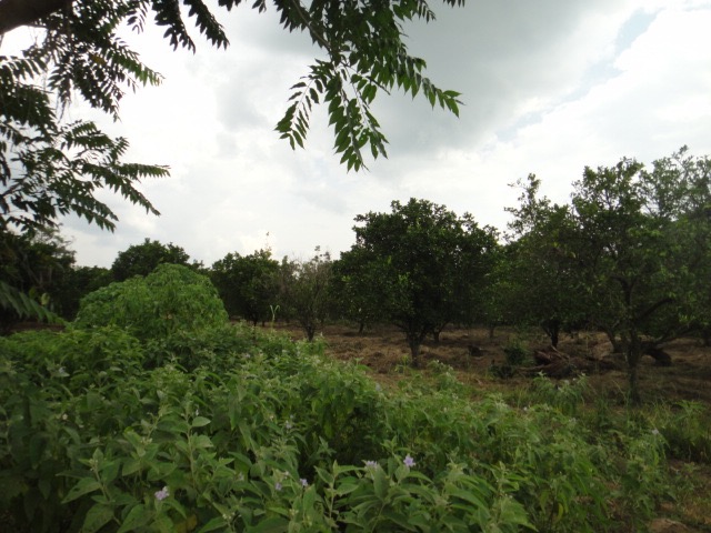 DSC04017
