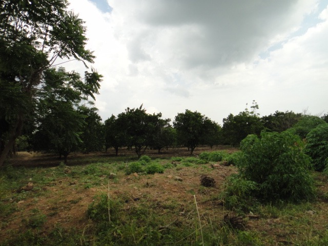 DSC04019