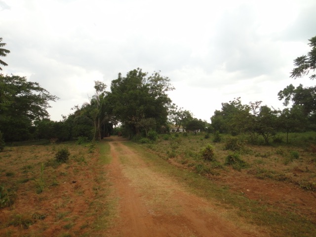 DSC04020